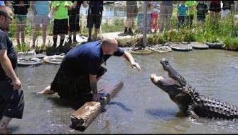 بالفيديو.. أميركي يتحدى الخوف بالإمساك بالتماسيح، شاهد ماذا حدث له !