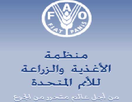 البدء بعمل دراسات لتأسيس شبكة إلكترونية لمديريات الزراعة البدء بعمل دراسات لتأسيس شبكة إلكترونية لمديريات الزراعة