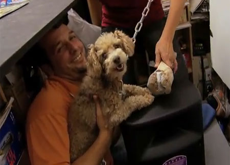 الكلب الجائع