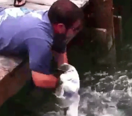 سمكة تصطاد رجلاً