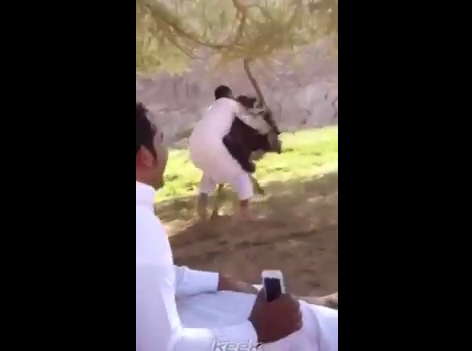 شاب يحاول امتطاء النعامة !