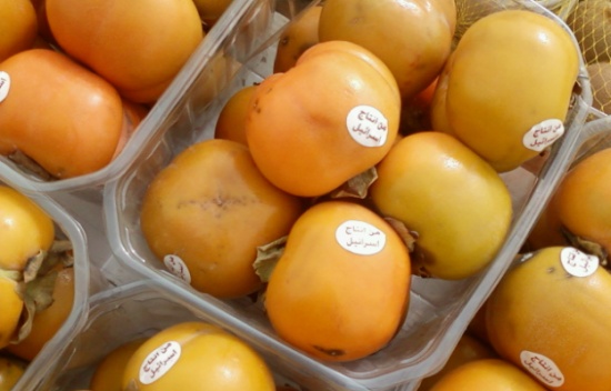 صحيفة مغربية : 436 مليون دولار قيمة التبادل التجاري بين الاردن واسرائيل في 2014