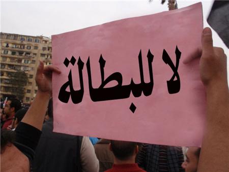 تقرير : البطالة بين الإناث من حملة شهادة البكالوريس فأعلى بلغت 80.2%