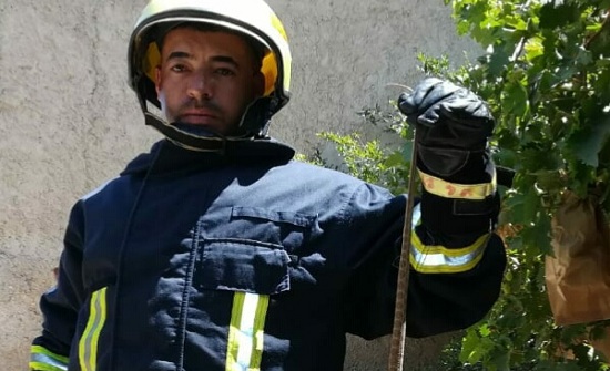 صورة : التخلص من أفعى بطول 2،5 استقرت داخل منزل في بصيرا صورة : التخلص من أفعى بطول 2،5 استقرت داخل منزل في بصيرا
