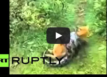 كلب ينجو من قبضة ثعبان بأعجوبة