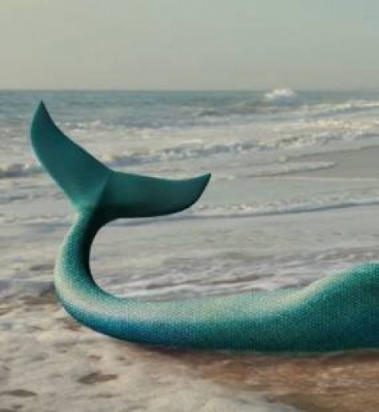 بالصور: ولادة نادرة.. طفلة على شكل "عروس البحر"!