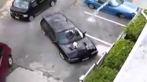 شاهد ماذا فعل شخص لقط كان فوق سيارة