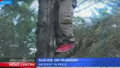 جثة تتدلي من فوق شجرة