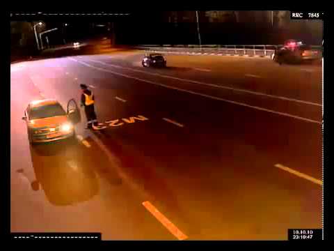 شرطي ينجو بأعجوبة من قطيع من الذئاب