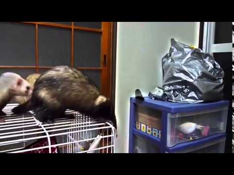 مواقف مضحكة ومؤلمة