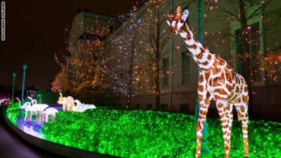 صور: هذه الدولة تستخدم ملايين المصابيح الملونة لتزيين ليالي الشتاء الطويلة