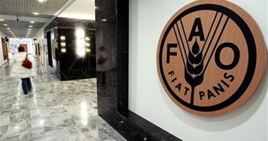 "الفاو" تطلق جائزة للصحافة في الشرق الأدنى وشمال إفريقيا "الفاو" تطلق جائزة للصحافة في الشرق الأدنى وشمال إفريقيا