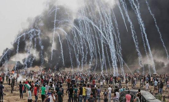 مسؤول صيني: فلسطين قضية جذرية للسلام مسؤول صيني: فلسطين قضية جذرية للسلام
