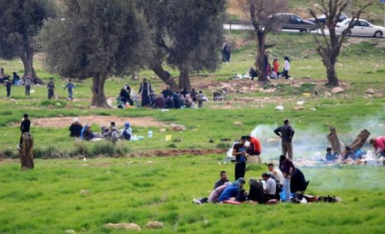 جمعة سياحية مميزة غدًا.. وعقوبات مشددة لمخالفي النظافة البيئية جمعة سياحية مميزة غدًا.. وعقوبات مشددة لمخالفي النظافة البيئية
