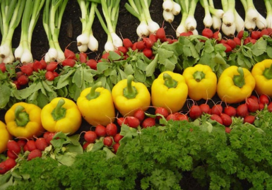 مزارعون: ارتفاع أسعار بعض المحاصيل الزراعية 200 %