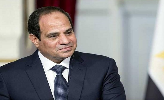 2.5 مليون نخلة.. مصر تنشأ أكبر مزرعة تمور في العالم