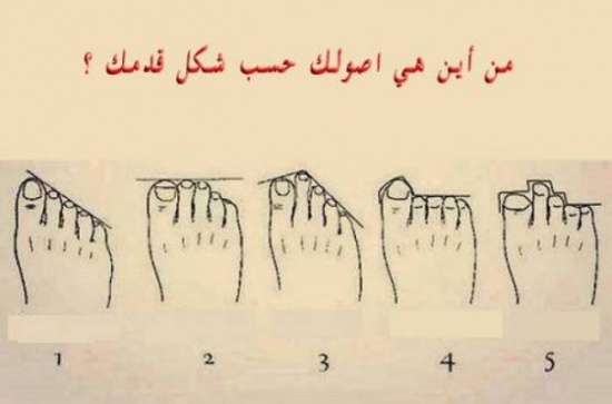 اكتشف أصولك من شكل أصابع قدمك!