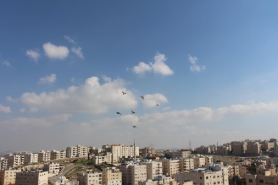 الإثنين : حالة ضعيفة من عدم الاستقرار الجوي