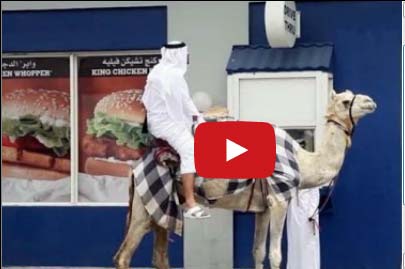 يمتطي جملاً ويطلب ساندويتش برغر!!