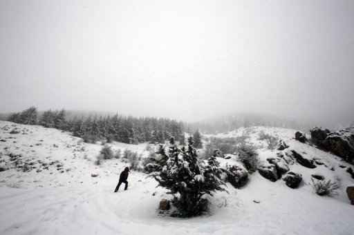 العثور على رجل حياً بعد اختفائه 4 أشهر وسط الثلوج بجبال "الأنديز"