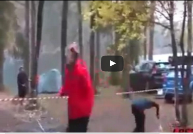 بالفيديو..العناية الإلهية تنقذ رجلا من الموت بعد سقوط شجرة عملاقة عليه