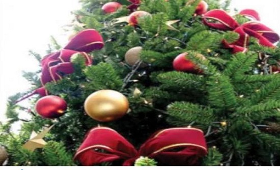 الاردنيون يحتفلون بعيد الميلاد المجيد الاردنيون يحتفلون بعيد الميلاد المجيد