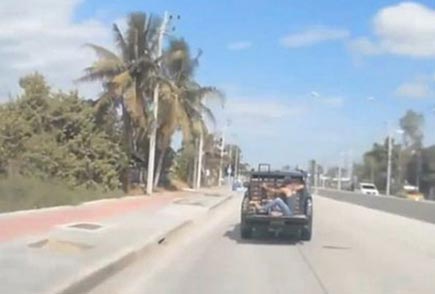 شاهد أسوأ طريقة لنقل البيض