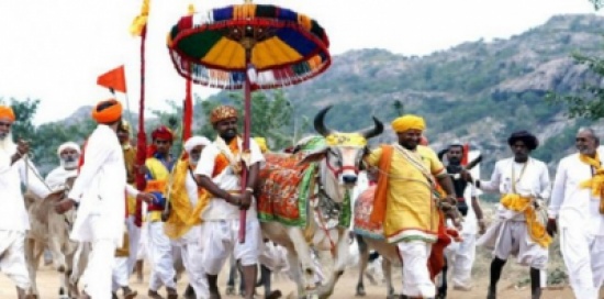 الهند: حادث قتل مواطن بتهمة ذبح بقرة كان مدبرا