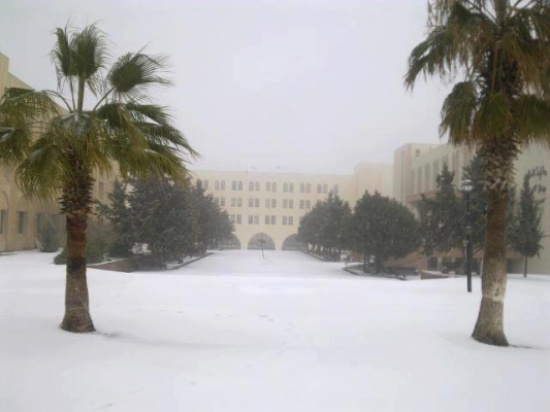طلبة مؤتة ينفذون مبادرة لإزالة الثلوج من حرم الجامعة طلبة مؤتة ينفذون مبادرة لإزالة الثلوج من حرم الجامعة