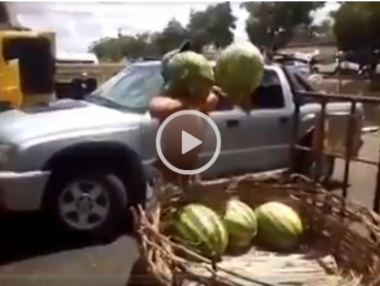 بالفيديو .. التقاط البطيخ بطريقة لم ترونها من قبل