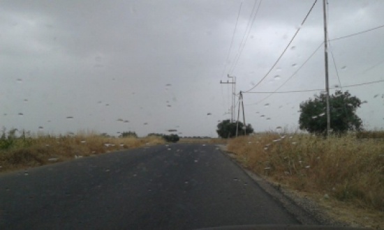 الأربعاء : طقس بارد وأمطار خفيفة