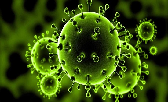 الجزائر: 6 وفيات و126إصابة جديدة بكورونا الجزائر: 6 وفيات و126إصابة جديدة بكورونا