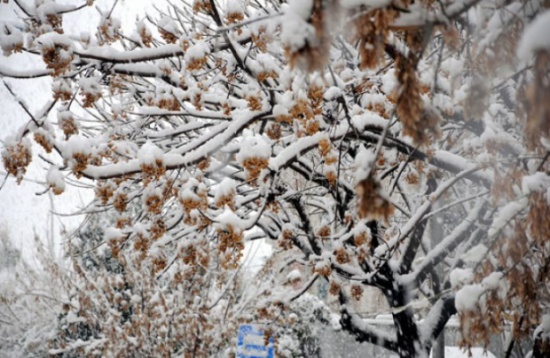 زخات ثلجية فوق المرتفعات