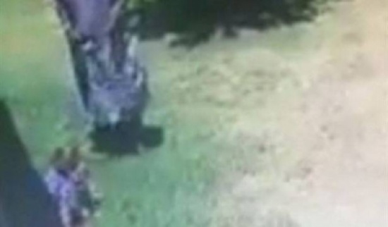 بالفيديو.. كلب يواجه طفلا بوحشية داخل حديقة البيت بالفيديو.. كلب يواجه طفلا بوحشية داخل حديقة البيت