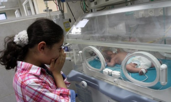 خلال شهر ... 5353 مولود و487 حالة وفاة في قطاع غزة