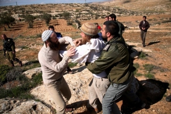 مستوطنون يؤجرون الفلسطينيين أراضيهم المصادرة مستوطنون يؤجرون الفلسطينيين أراضيهم المصادرة
