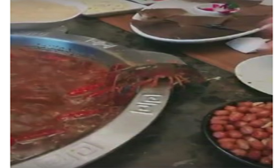 بالفيديو: استاكوزا تكسر ذراعها للهرب من إناء على النار