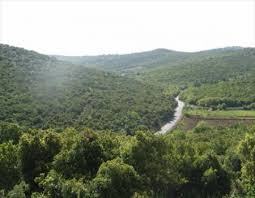 تخريج الفوج الثاني من برنامج فرسان الطبيعة في عجلون