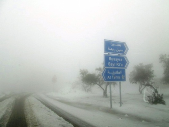 كهرباء الطفيلة الأكثر تضررا من " جنى " كهرباء الطفيلة الأكثر تضررا من " جنى "