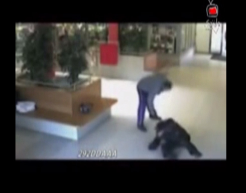 ضرب وحشي امام الكاميرا !