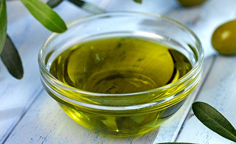 توقع انتاج 2500 طن زيت زيتون بالكرك توقع انتاج 2500 طن زيت زيتون بالكرك