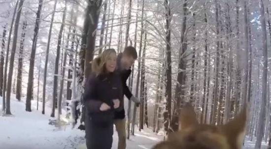 فيديو| كلب يقوم بتصوير حفل زفاف عروسين !