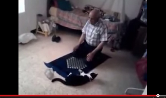 بالفيديو : قطة مشاكسة حالفة ما تخليه يصلّي بالفيديو : قطة مشاكسة حالفة ما تخليه يصلّي