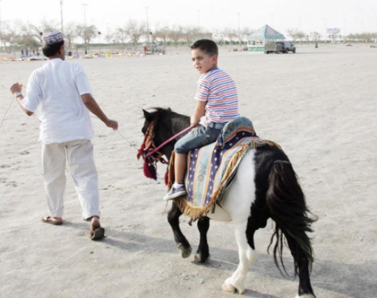 الأمن يبحث عن مؤجري " الخيل " عقب اصابة طفلة في المفرق الأمن يبحث عن مؤجري " الخيل " عقب اصابة طفلة في المفرق