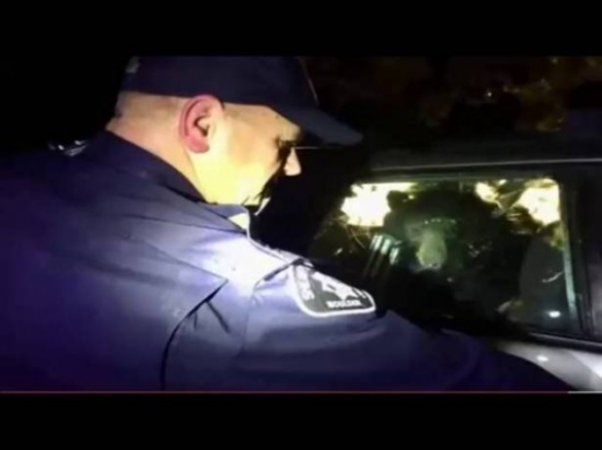 شاهد.. تحرير دب حبس نفسه داخل سيارة