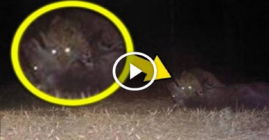 ظهر أثناء تصوير فيلم بهوليوود فتم إلغاء الفيلم بأكمله .. ماذا ظهر؟!