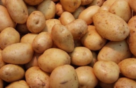 "المستهلك" تدعو المواطنين مقاطعة شراء واستهلاك البطاطا