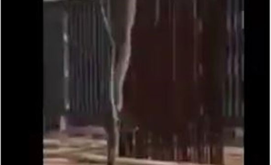 حمل ثعبان ضخم بونش من مبنى سكني.. فيديو حمل ثعبان ضخم بونش من مبنى سكني.. فيديو