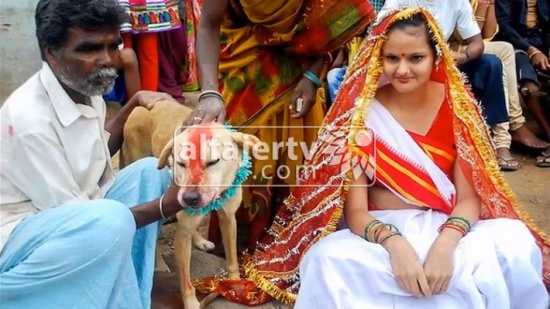 بالفيديو.. فتاة هندية وكلب في عش الزوجية