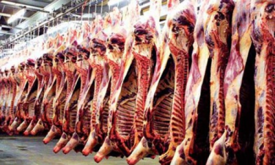 جمعية المركز الاسلامي توزع 275 طنا من لحوم الاضاحي جمعية المركز الاسلامي توزع 275 طنا من لحوم الاضاحي